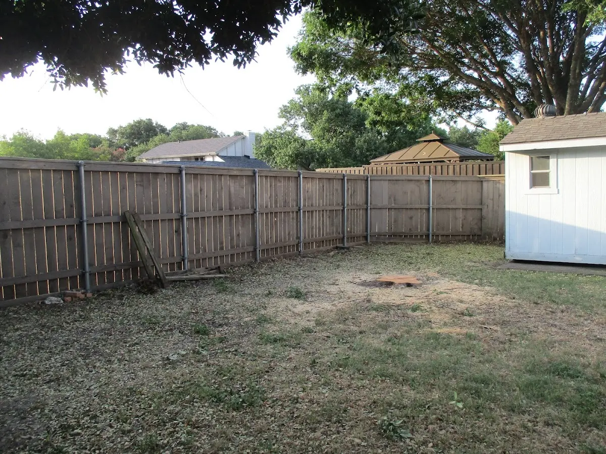 Cleared yard after professional tree removal in Fortescue
